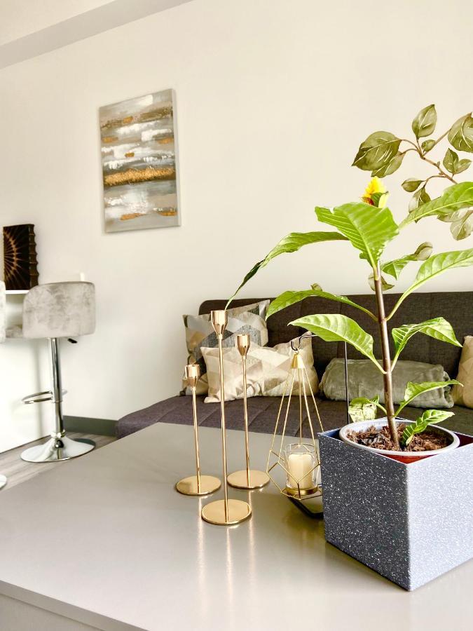 Comodo Y Elegante Apartamento En Fabuloso Condo! San José Eksteriør billede