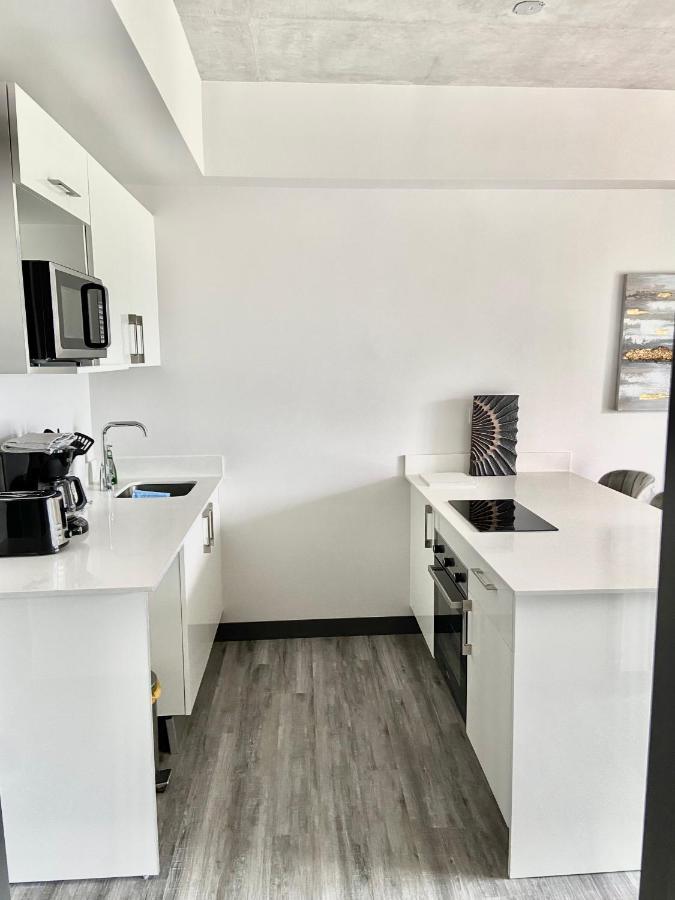 Comodo Y Elegante Apartamento En Fabuloso Condo! San José Eksteriør billede