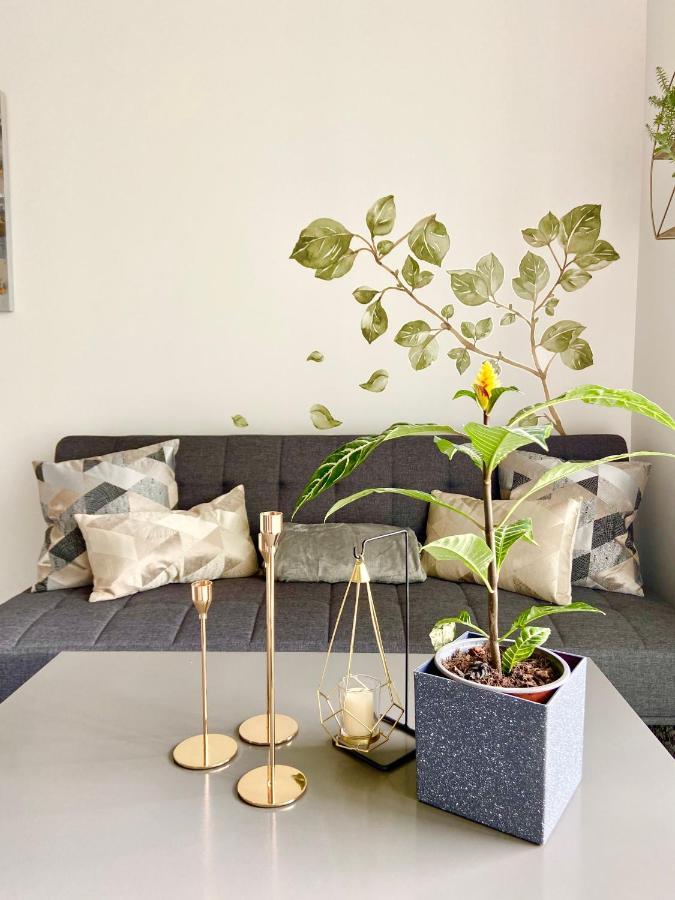 Comodo Y Elegante Apartamento En Fabuloso Condo! San José Eksteriør billede